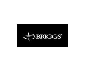 BRIGGS
